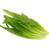 GREENSEER/绿鲜知 油麦菜 新鲜蔬菜 400g