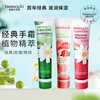 贺本清 护手霜小甘菊75ml*3 经典组合装套装保湿滋润手霜