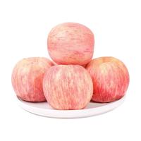 康乐欣 礼泉富士苹果 5kg