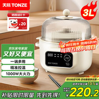 天际 电炖锅隔水炖煲汤炖汤锅熬燕窝养生锅婴儿煮粥锅2-4人上蒸下炖电炖锅30RA