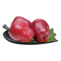 NANGUOXIANSHENG 芬果时光 花牛苹果 5斤装 单果约70-80g