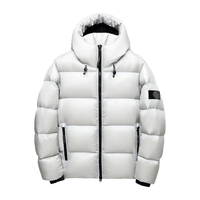 HIGHROCK 天石 羽绒服男士冬季户外白鹅绒轻奢羽绒服女款加厚东北严寒鹅铠甲G413 银桦灰色（标配）