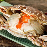 九河灌海 醉蟹梭子蟹红膏呛蟹酱母蟹整只生腌螃蟹即食炝蟹舟山 3A膏3-4两/只(5只装)