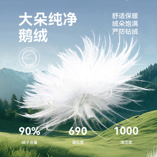 雪中飞鹅绒外套女2025秋冬奥粒绒拼接款羽绒上衣 神秘灰 L