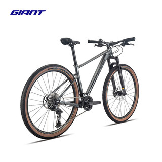 GIANT/捷安特 22速 山地自行车 气压避震可锁定前叉 油碟