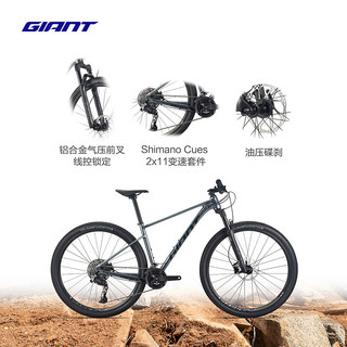  GIANT/捷安特 22速 山地自行车 气压避震可锁定前叉 油碟