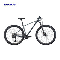 捷安特（GIANT）XTC 800气压避震可锁定前叉XC竞技22速铝合金油碟山地自行车 气辉 29×17 M 170-182cm