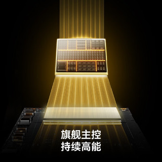 雷克沙 THOR PRO PCIe4.0 512GB M.2固态硬盘