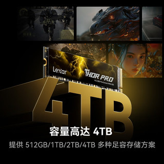 雷克沙 THOR PRO PCIe4.0 512GB M.2固态硬盘