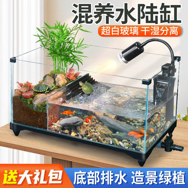 爬将军 生态乌龟缸桌面鱼缸 40混养缸