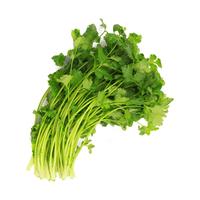 GREENSEER 绿鲜知 香菜 300g