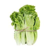 NATURE STAR 自然之星 有机生菜 约250g 鹅仔菜 唛仔菜 莴仔菜 莴苣 火锅食材 新鲜蔬菜