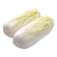 绿农说 娃娃菜 500g