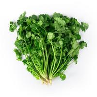 绿农说 芫茜 100g