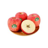 京觅 35°静宁苹果 特大果 2.3kg