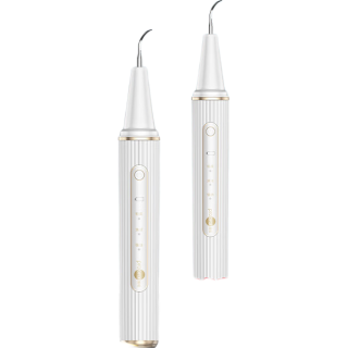 博皓 2113 超声波洁牙器 牙垢去除（30万像素可视）