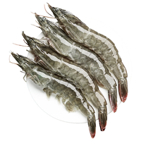 渔游记青岛大虾 净重3.6斤 126-144只白虾大虾基围虾 盐冻 生鲜 虾类 青岛盐冻126-144只 3.6斤(净重)