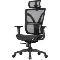 享耀家 WantHome）Q3 人体工学椅 电脑椅 幻影黑 标准版