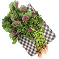 GREENSEER 绿鲜知 红苋菜 400g