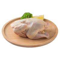 龙舒 农家散养童子鸡 750g