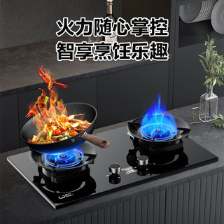 WEILI/威力 JZY-A546BY-D 5.2kW猛火 液化气嵌入式燃气灶