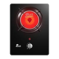  Redsun/红日 EX01B 猛火 家用煤气灶