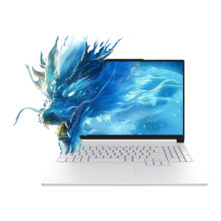 机械革命 蛟龙16Pro RTX 5070 300Hz高刷 16GB+1TB 白色 16英寸笔记本电脑