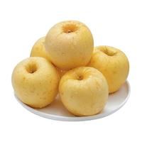 京鲜生 13°鎏金维纳斯苹果 净重4.5斤 12粒装 新鲜水果