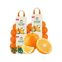 Joy Tree 欢乐果园 京鲜生 农夫鲜果网兜橙橙子 2袋装 1.5kg/袋 新鲜水果 年货好物