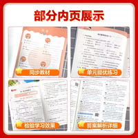 2025秋新版53天天练人教版同步练习册