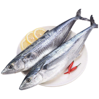 卖鱼七郎青岛海捕大鲅鱼整条2.5kg-2.8kg（5-8条）海鱼马鲛鱼海鲜生鲜鱼类