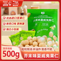 满元气 芥末夏威夷果 500g 1袋