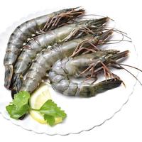 瀚通 大黑虎虾 8-12只 400g