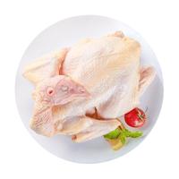 草原宏达 汤鸡 700g