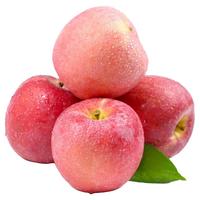 HUA BEI QIANG 華北強 苹果 单果75-80mm 2.5kg