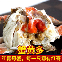 梭子蟹鲜活莱州超大螃蟹飞蟹红膏母蟹新鲜海蟹螃蟹礼盒 生鲜 蟹类 B款:4两-5两/只 10只装