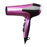 Paiter. 百特 CMC662 电吹风