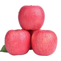 正宗洛川苹果红富士 5斤小果
