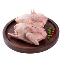 WENS 温氏 新鲜脆骨乳鸽 450g/2只 供港高品质生态慢养乳鸽 卤鸽子烤鸽子肉
