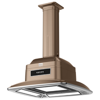 飞稳 麻将机外排吸烟灯空气净化器升降吊灯棋牌室直排商用净化灯 高亮五灯 按钮款_古铜色-暗管