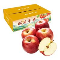 逮果云南昭通红露苹果冰糖心丑苹果新鲜水果红富士嘎啦苹果脆甜礼盒装 昭通丑苹果5斤礼盒装(80-85mm)