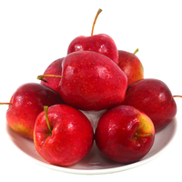 鲜姿鸡心果东北特产新鲜小苹果脆甜锦绣海棠新鲜水果水果礼盒 鸡心果5斤实惠装