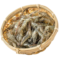 渔水依生鲜微山湖河虾生态淡水青虾清水河虾新鲜小明虾鲜活速冻 小号河虾250g（2-4cm）