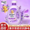 Comfort 金纺 怡神薰衣草香 柔顺剂 2.5kg 防静电除皱留香
