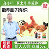 杨博士 高山散养土鸡走地鸡童子鸡新鲜现杀|单只净重650g-900g 到手2只童子鸡