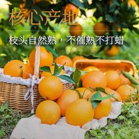 百亿补贴：欢乐果园 Joy Tree 赣南新鲜橙子 4.5斤/9斤