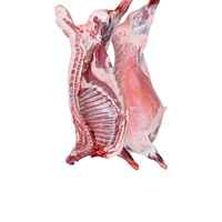 锡林之星 锡林郭勒散养苏尼特羔羊整羊生鲜羊肉内蒙烤全羊炖煮24斤 全羊-24斤分割发货