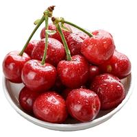 珍享 智利车厘子 直采 900g装 JJJ级巨无霸 果径约30-32mm