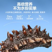 海纳堂即食海参深海独立包装开袋即食刺参礼盒鲜食冷蒸深海底播海参单只 9年参龄1斤7-10只【一周滋补】