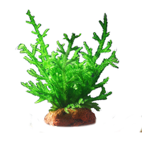 胜画鱼缸水草植物直接入缸真水草净化竹节草蜈蚣草懒人养鱼水草造景 绿羽毛+大九冠【好养定植】